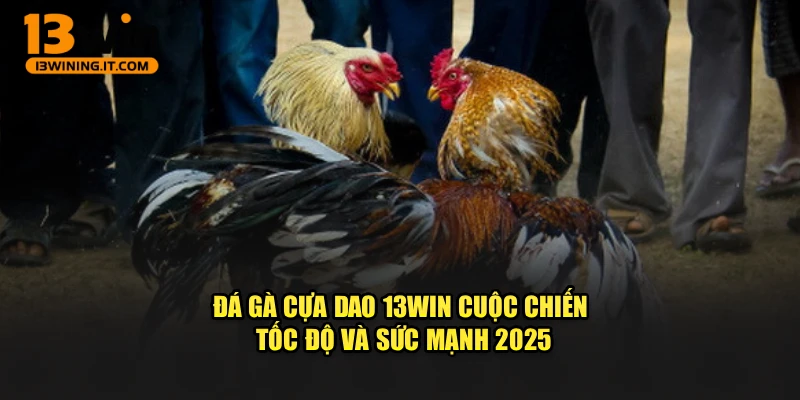Đá Gà Cựa Dao 13WIN – Cuộc Chiến Tốc Độ Và Sức Mạnh 2025