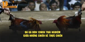 Đá Gà Đòn 13Win – Trải Nghiệm Giữa Những Chiến Kê Thực Chiến