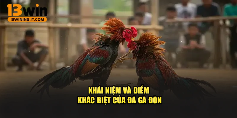 Khái niệm và điểm khác biệt của Đá gà đòn