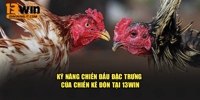 Kỹ năng chiến đấu đặc trưng của chiến kê đòn tại 13WIN