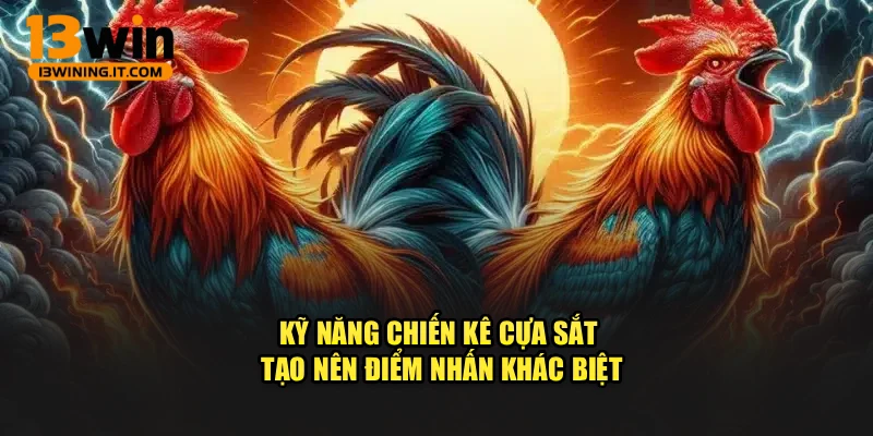 Kỹ năng chiến kê cựa sắt tạo nên điểm nhấn khác biệt